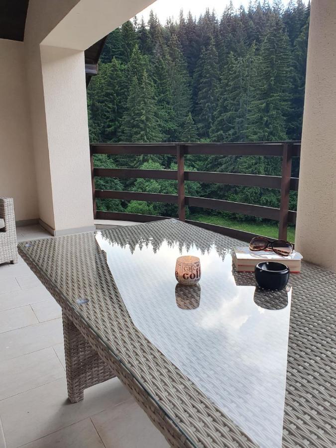 Apartament Ozon Poiana Brašov Exteriér fotografie