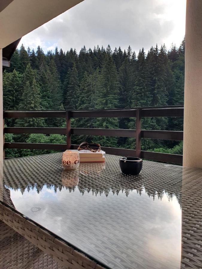 Apartament Ozon Poiana Brašov Exteriér fotografie