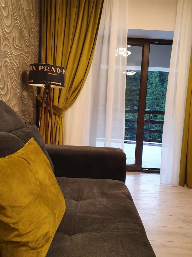 Apartament Ozon Poiana Brašov Exteriér fotografie