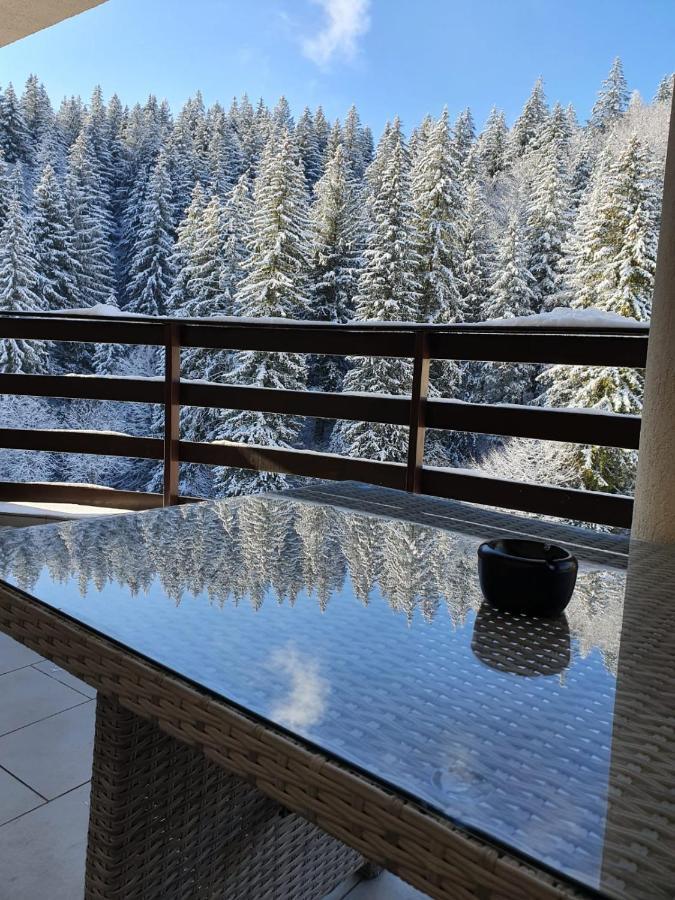 Apartament Ozon Poiana Brašov Exteriér fotografie