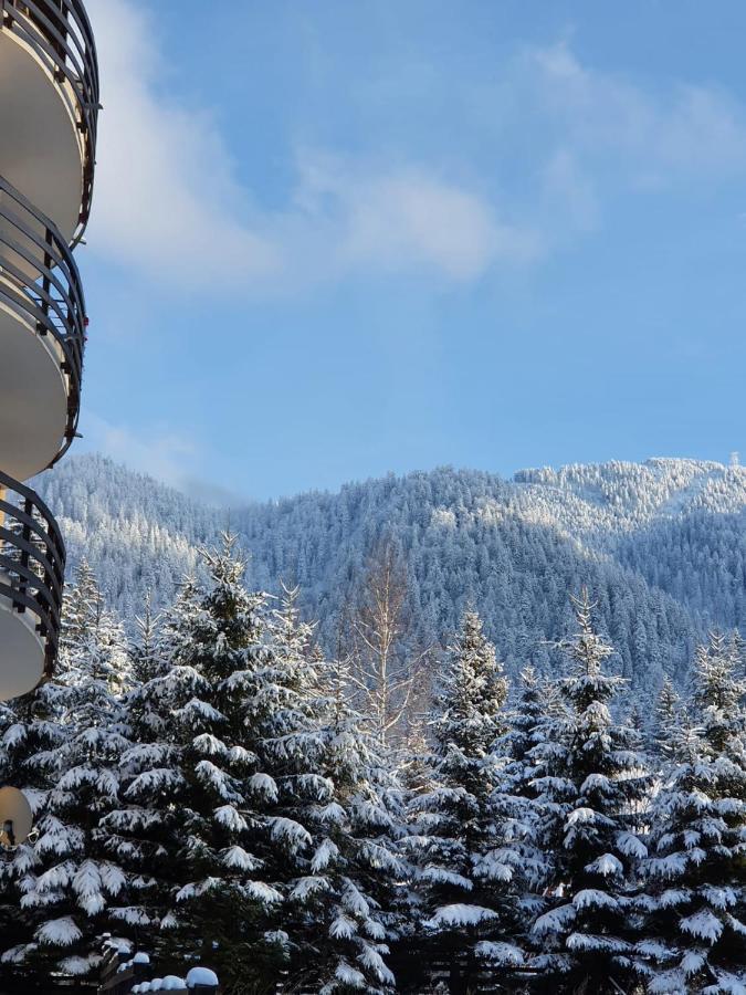 Apartament Ozon Poiana Brašov Exteriér fotografie